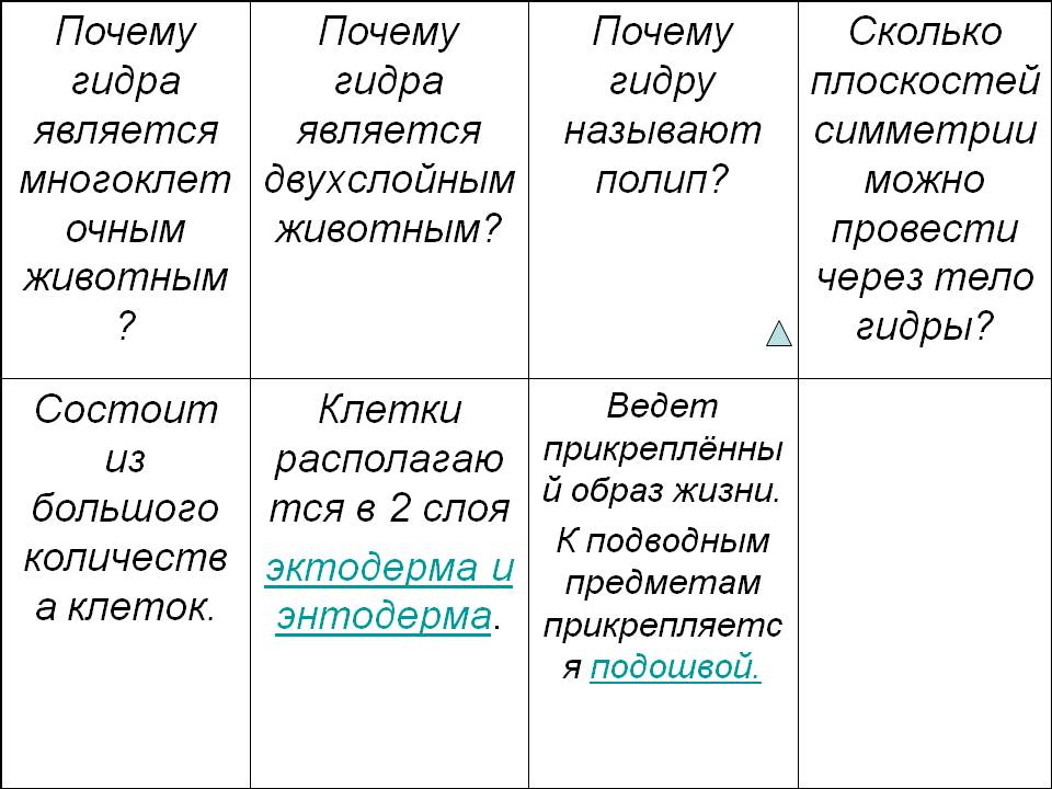 Кракен маркет даркнет только через тор скачать