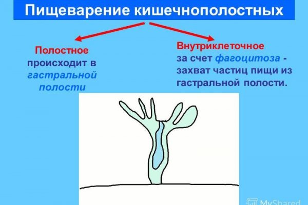 Кракен сайт магазин kraken clear com