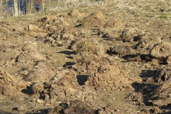 Кракен маркетплейс ссылка