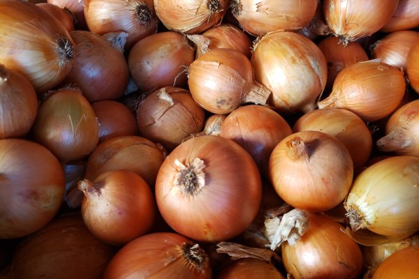 Кракен сайт как зайти