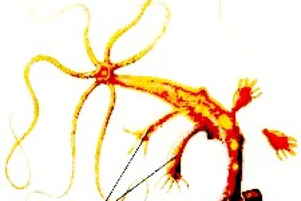 Кракен ссылка тор kr2web in