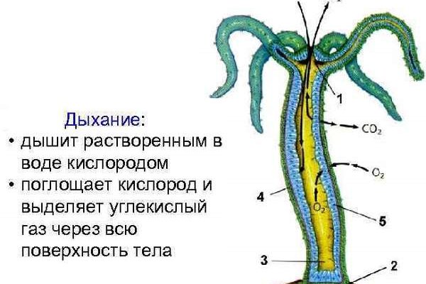 Кракен как войти