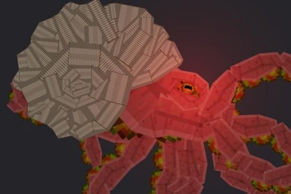 Kraken tor зеркало