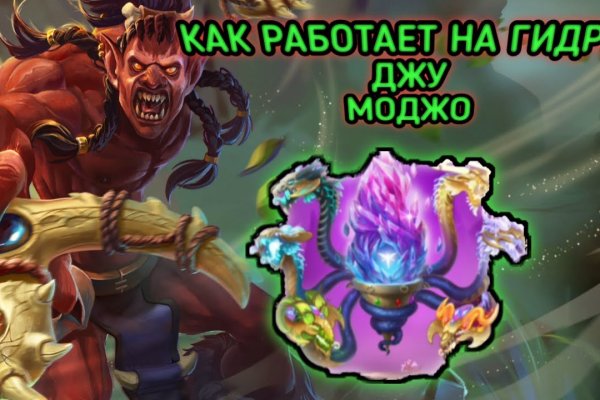 Kraken 24 top