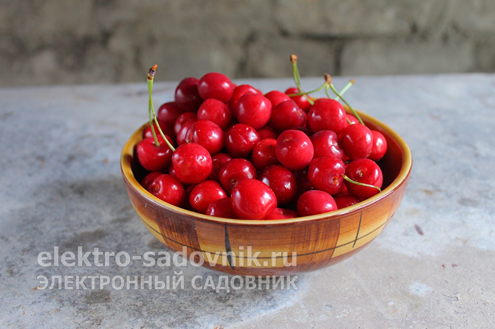 Ссылка на кракен krawebes