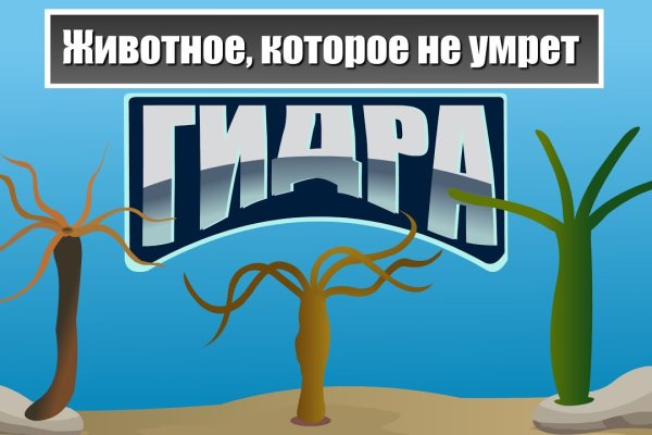 Что такое kraken в россии